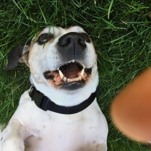 Meet your Posher, Caroline